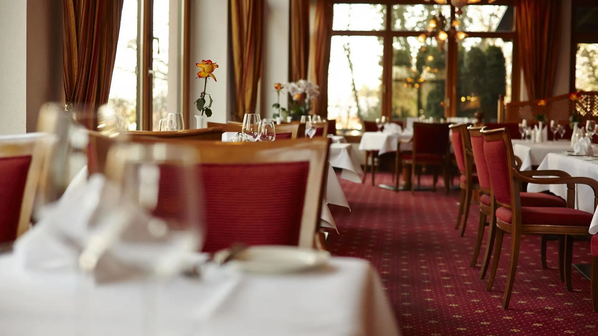 ****  Dehner Blumen Hotel Rain  Germany