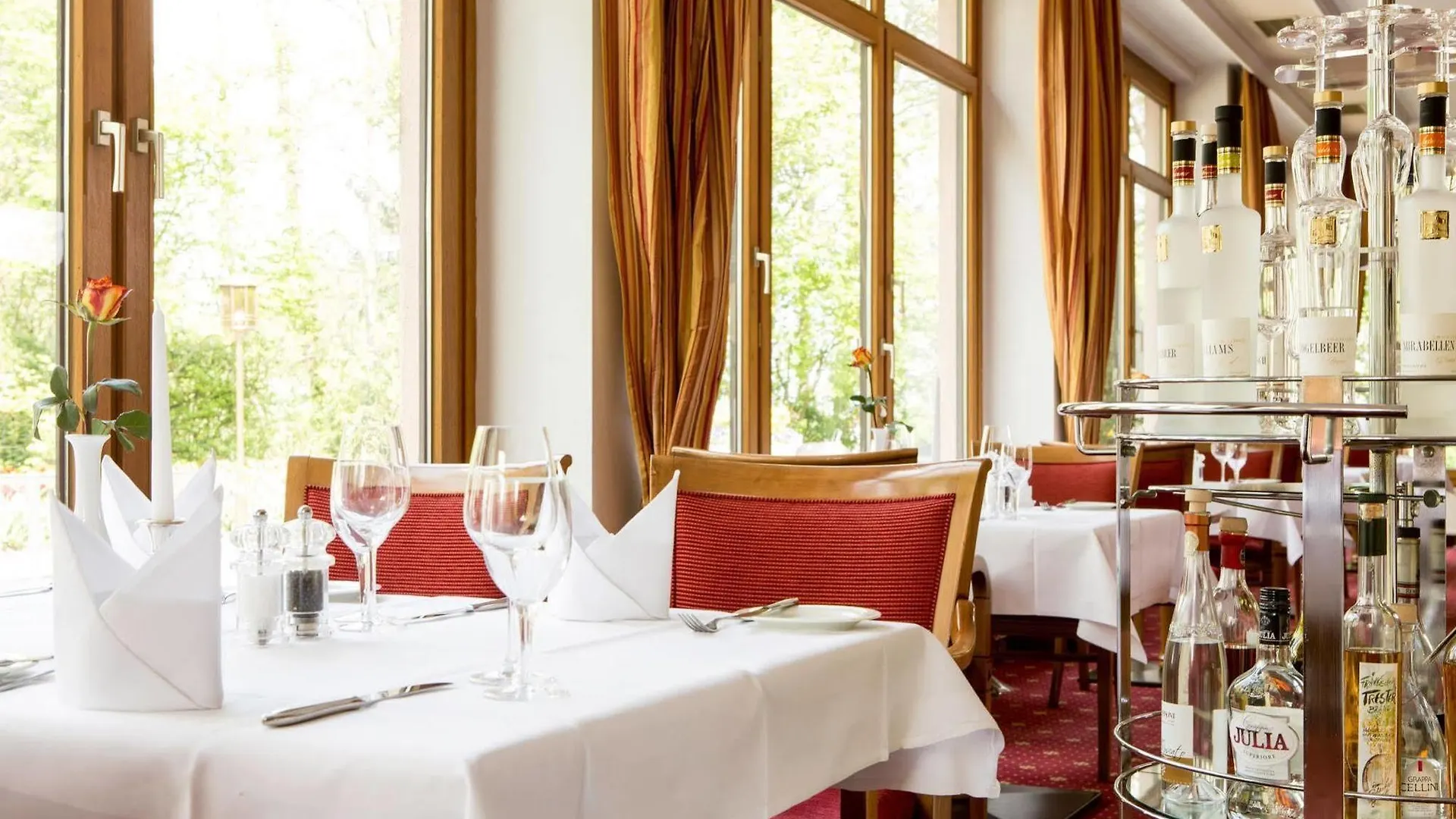 Dehner Blumen Hotel Rain   Rain (Swabia)